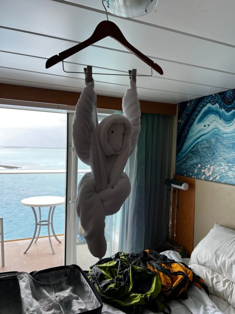 Comparison of cruise cabin types luxury suite with balcony