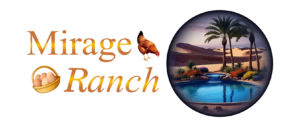 Mirage Ranch