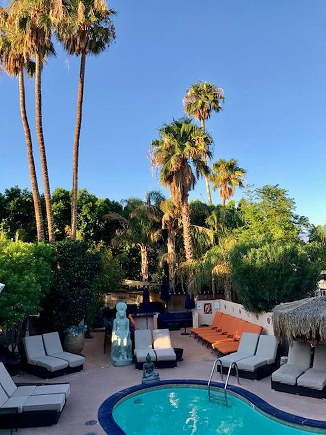 sea mountain palm springs pool area palm trees
