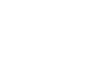 The Play